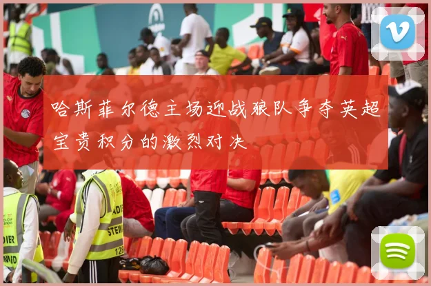 哈斯菲尔德主场迎战狼队争夺英超宝贵积分的激烈对决