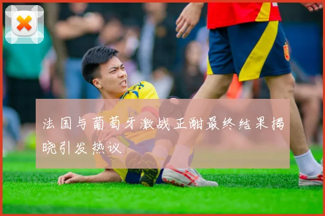 法国与葡萄牙激战正酣最终结果揭晓引发热议