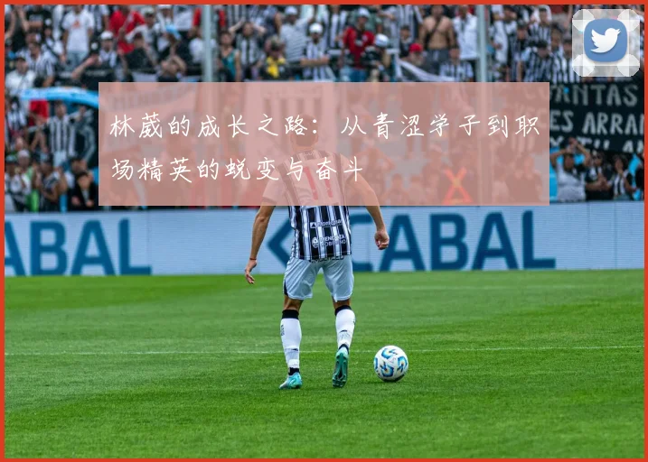 林葳的成长之路：从青涩学子到职场精英的蜕变与奋斗