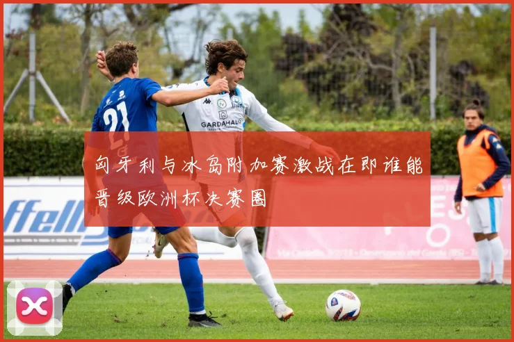 匈牙利与冰岛附加赛激战在即谁能晋级欧洲杯决赛圈
