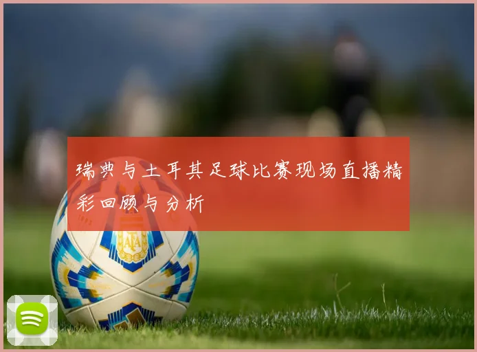 瑞典与土耳其足球比赛现场直播精彩回顾与分析