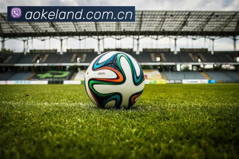 App Interface Preview